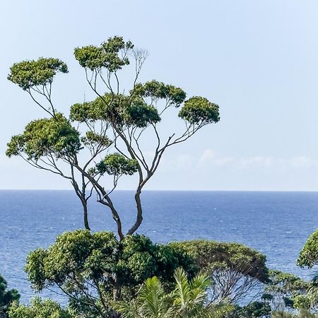 Mollymook Motel Экстерьер фото